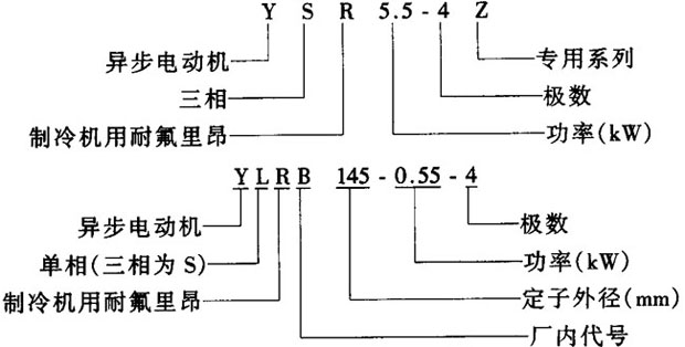 YSR-Z系列制冷機(jī)用耐氟三相異步電動(dòng)機(jī)結(jié)構(gòu)簡介及特點(diǎn)